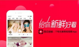 今日吃瓜网红爆料新闻直播,今日新闻直播大揭秘，吃瓜群众速来围观！”